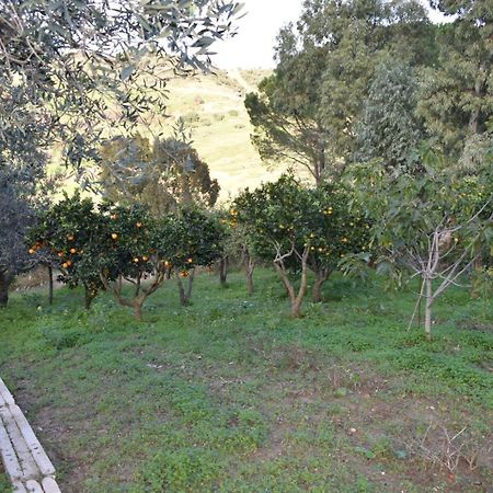 Ferienwohnung La Casetta Nel Bosco Calatafimi Exterior foto