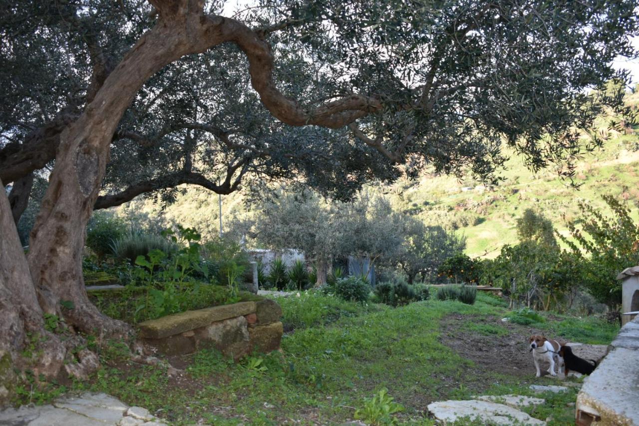 Ferienwohnung La Casetta Nel Bosco Calatafimi Exterior foto