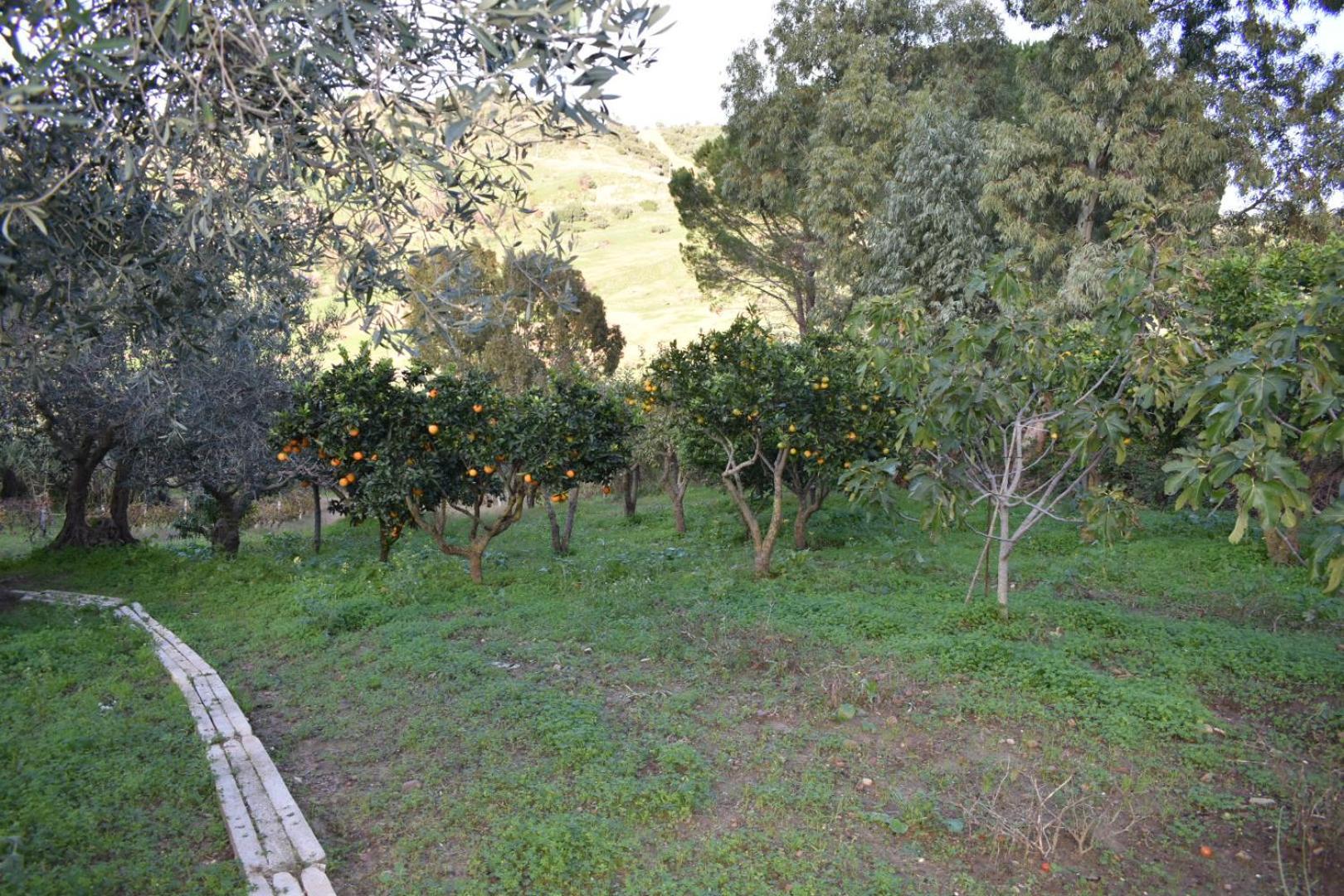 Ferienwohnung La Casetta Nel Bosco Calatafimi Exterior foto