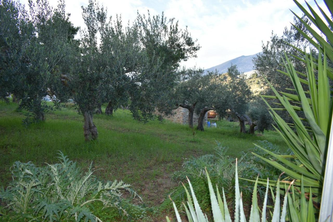 Ferienwohnung La Casetta Nel Bosco Calatafimi Exterior foto