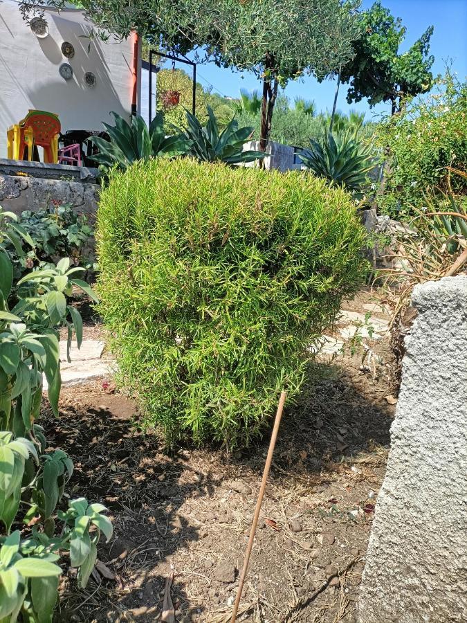 Ferienwohnung La Casetta Nel Bosco Calatafimi Exterior foto